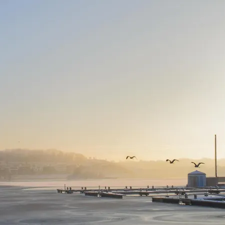 The Phoenix Phoenixsee Daire